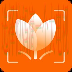 B体育app下载最新链接